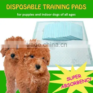 Puppy Training Pad, Leak Proof, Super Absorbency thumbnail-1