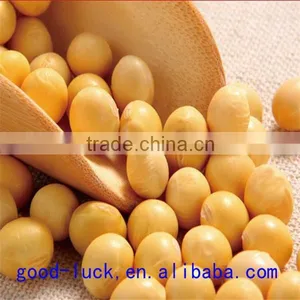 Soya Beans ,non-GMO,good Quality,cheap Price thumbnail-3