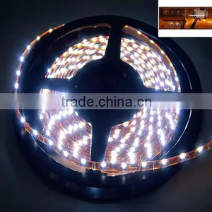 CE&ROHS Certification Waterproof Ip68 3528 Smd Strip Led Lamp thumbnail-2