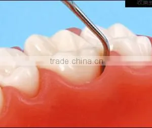 Dental Education Treating Periodontal Diseases for Teaching thumbnail-4