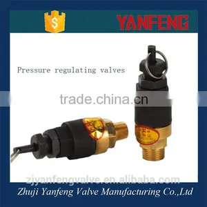 Made in China Brass Thread and Iron Body Pressure Control Valve Price thumbnail-1