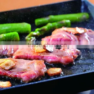 The Superior Thermal Iron Rectangular Hot Plate Thickness 3.2mm Made in Japan thumbnail-1