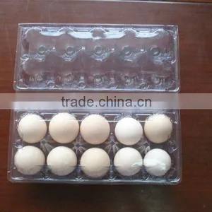 BC-700P0A Full Automatic Egg Trays Forming Machine thumbnail-1