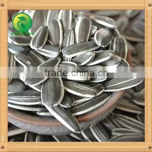 Chinese Sunflower Seeds 2015 New Crop thumbnail-2