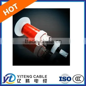 Copper Conductor/ XLPE Insulation/ Steel Wire Armoured Power Cable thumbnail-1