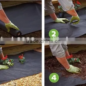 For Protecting the Plants China Supplier Biodegradable Agriculture PP Protective Cover Film for Protecting the Plants thumbnail-5