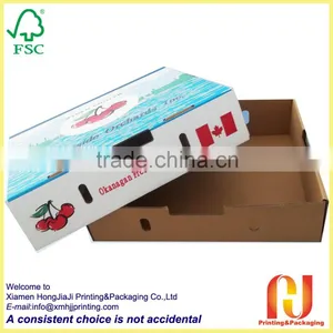 Corrugated Fruit Carton Box Corrugated Carton thumbnail-4