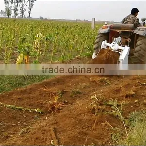 Tennma From China Farm Implements for Tractors Remove Stalk Machine Corn Stalk Shredder Machine thumbnail-2