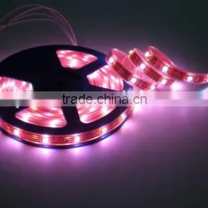 Hot Sale Flexible Led Strip Light RGB5050 Led Strip Light Waterproof IP65/IP20/IP67/IP68 thumbnail-1