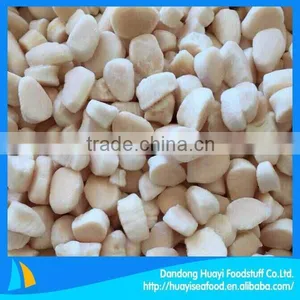 Wholesale New Coming Frozen Comb Pen Shell With Reasonable Price thumbnail-1
