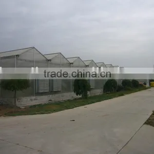 PC Sheet Multi-span Greenhouse thumbnail-1
