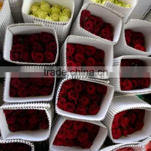 Cut Roses Exporters in India/tajmahal Roses Suppliers thumbnail-6