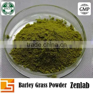 Best Selling Natural Green Barley Grass Powder thumbnail-2