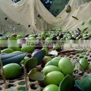 Agriculture HDPE Hexagon 55GSM Olive Net - Yellow / 60301-55 thumbnail-3