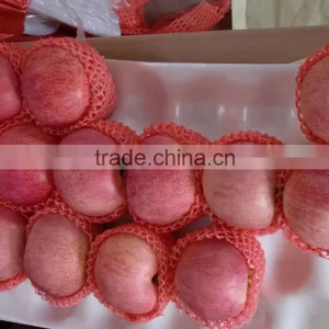 2015 Fresh Fuji Apple on Sale in Hot Sale Season With High Quality and Lowest Price thumbnail-1