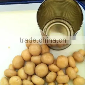Canned Mushroom Whole in Brine thumbnail-2