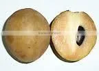 SAPOTA SEEDS thumbnail-1