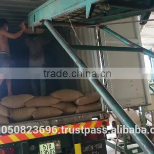 ARABICA GREEN COFFEE BEANS- High Quality thumbnail-4