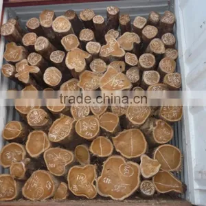 Wood Logs thumbnail-1