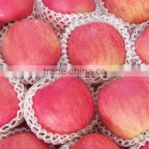 New Crop Fresh Fuji Apple thumbnail-4