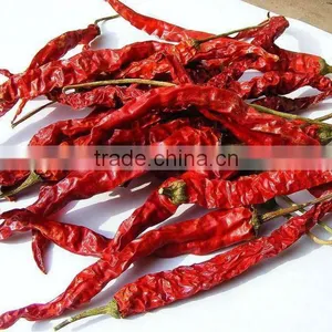 Dried Red Chilli(various Sizes-up to You) thumbnail-1