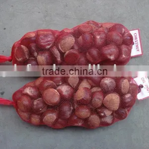Chinese Local Chestnut thumbnail-1