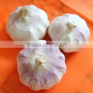 Chiness Natural New Fresh Garlic thumbnail-1