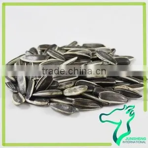 Striped Bulk Raw White Sunflower Seeds thumbnail-4