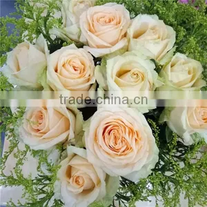 Export Roses Fresh Cut Flowers From Kunming of China thumbnail-2