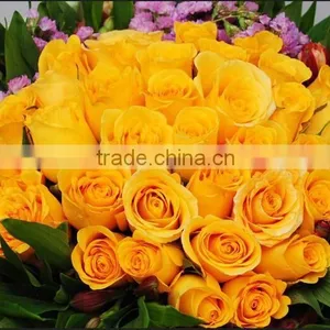 Fresh Cut Yellow Roses Flower Fresh Cut Flowers Top Quality thumbnail-2