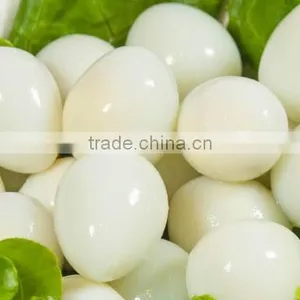 High Quality 50kg/h, 100kg/h,150kg/h, 250KG/H New Design Quail Egg Peeler Machine thumbnail-3
