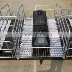 Piglet Incubator for Pig Equipment thumbnail-3