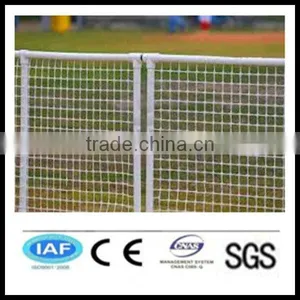 China CE&ISO Certificated Fence Plastic Pvc(Pro Manufacturer) thumbnail-1