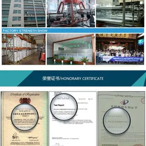 Zhuhai Air-Bags Packaging Material Co., Ltd. company overview - view 2 thumbnail