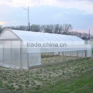 Tunnel Agriculture Greenhouse for Vegetable thumbnail-5