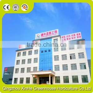 Made In China Wholesale Greenhouse/Custom Outdoor Grow House thumbnail-6