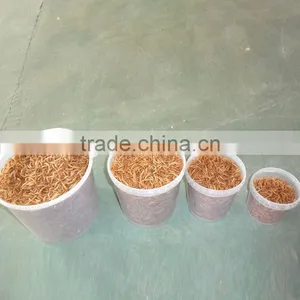 Chicken Feed Dried Mealworm, Wild Bird Food Mealworm thumbnail-3