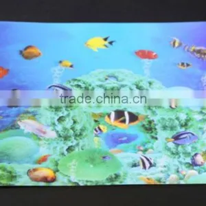 Store More Dining Room 3d Placemats for Table thumbnail-1