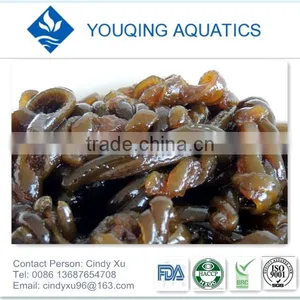 Import Seasoned Hairong Import From China thumbnail-1
