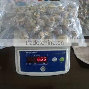 New Season Frozen Vacuum Packed Cooked Short Necked Clam thumbnail-2