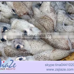 Zhoushan Aquatic Product Frozen Baby Squid thumbnail-3