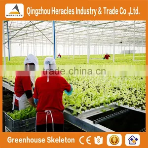 Heracles Trade Assurance Commercial Hydroponics Greenhouse thumbnail-1