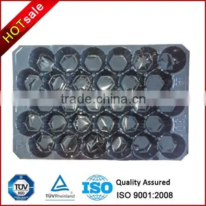 FDA Approval Vacuum Formed Blister Packaging 29x49cm Alveolus PP Tray For Fresh Fruits thumbnail-3