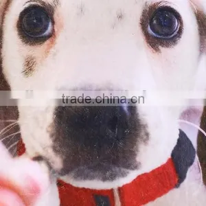 Custom Full Screen Printing Fleece Thermal Throw Carpet For Dogs thumbnail-3