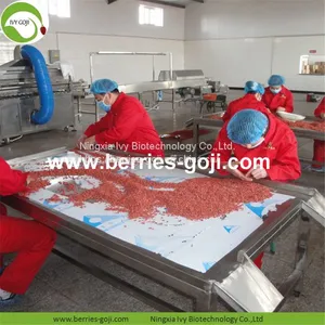 New Arrival Factory Supply Dried Goji Berry thumbnail-4