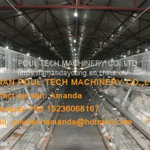 Nepal Poultry Farming Equipment Broiler Cage & Broiler Coop & Meat Chicken Cage in Chicken Shed thumbnail-2