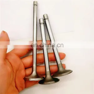 for Isuzu Dmax 4JA1 4JB1 4JG1 4JH1 4JJ1 4JK1 4BA1 4BB1 4BC1 4BD1 4BE1 6BF1 6BG1 4HE1 6HE1 6HF1 4HG1 6HH1 6HK1 Engine Valves thumbnail-4