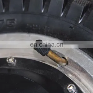 Durable12 Inch Disc Brake BLDC Hub Motor thumbnail-5