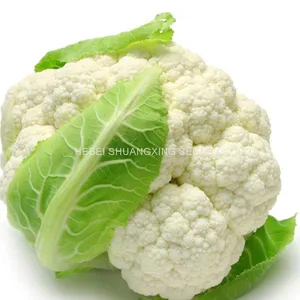 Tight Snow White Cauliflower Seeds Broccoli Seeds for Sale thumbnail-4