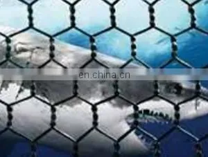 Factory Pet Fish Farming Cage Netting Agriculture Fish Farm Nets Hexagonal Wire Mesh thumbnail-5